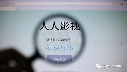 告別豬豬字幕組 整改、刪除與關(guān)閉背后的行業(yè)變革